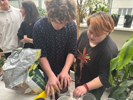 Практикум «Декоративное цветоводство»